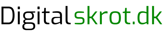DigitalSkrot Logo