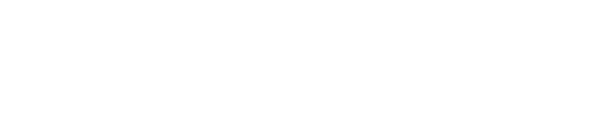 DigitalSkrot Logo